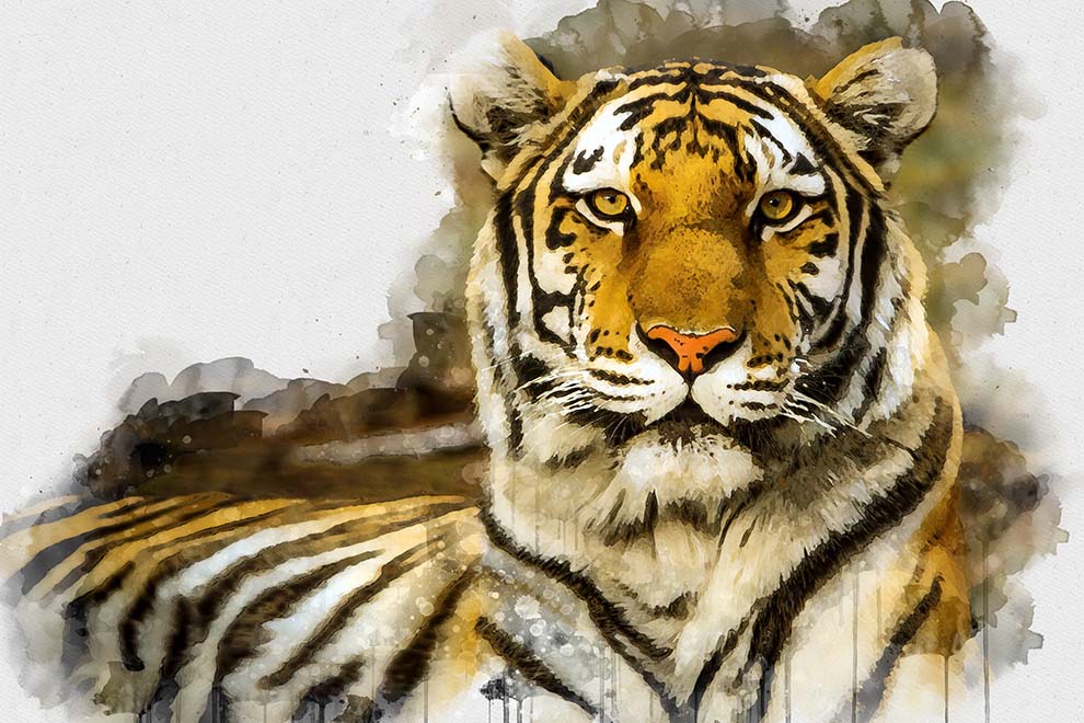 Digital,Watercolor,Painting,Of,Tiger.,Digital,Art.,Digital,Watercolour,Painting